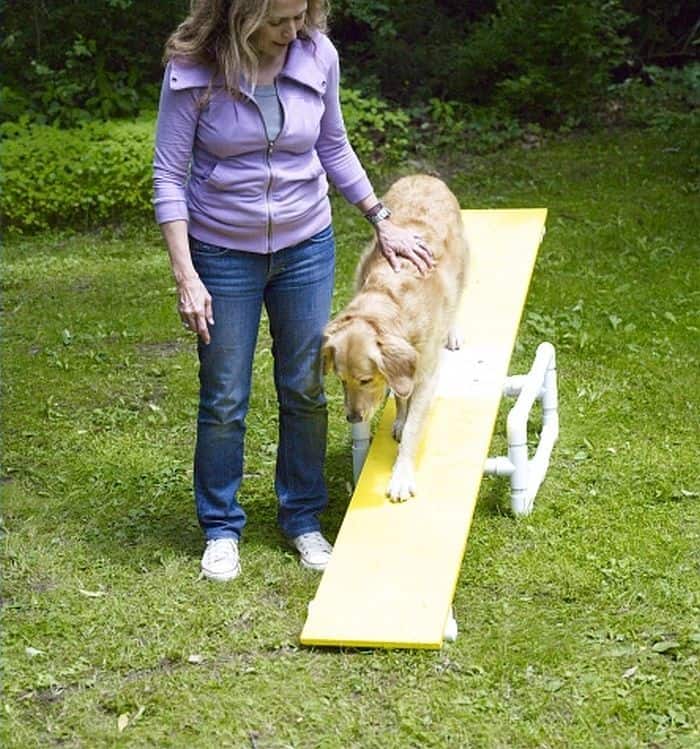 Obstacle for DIY Agility Course