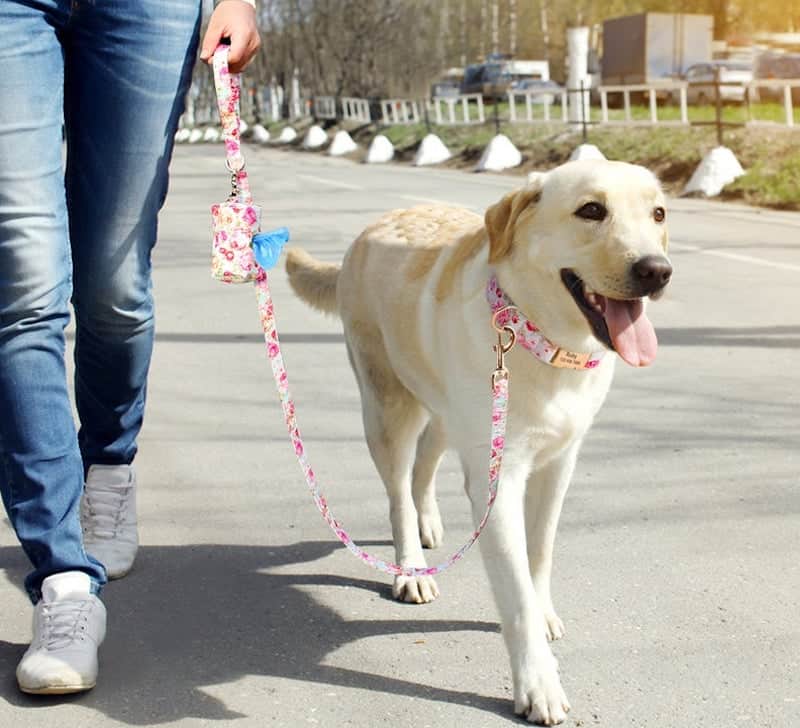 Personalized Floral Nylon Collar