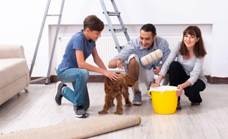 Pet-safe paints for dog owners