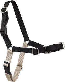 PetSafe Easy Walk Dog Harness