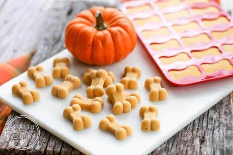 pumpkin dog treats