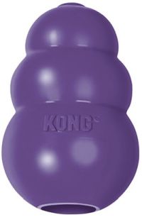 Senior Kong