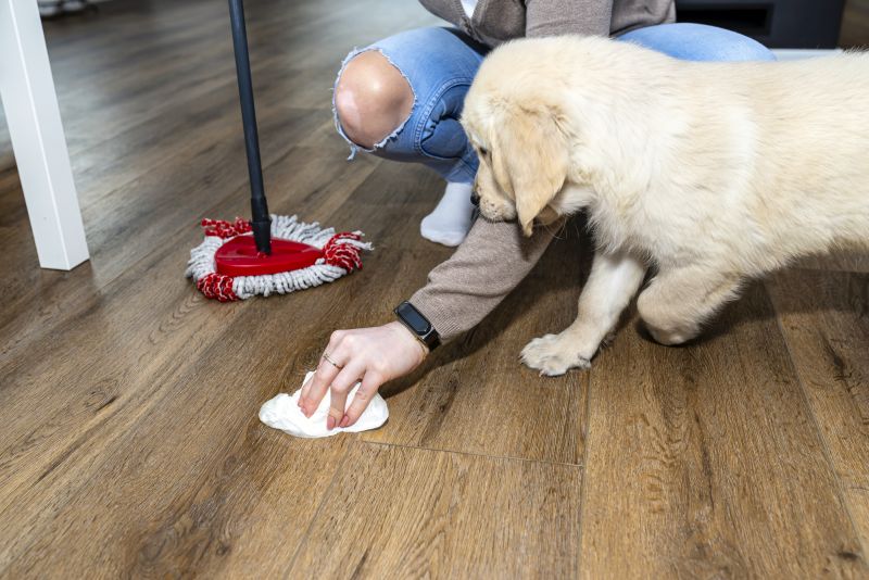 how to stop dog marking