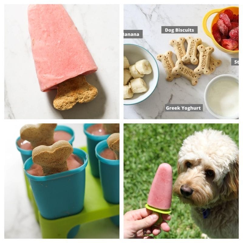 strawberry dog popsicles