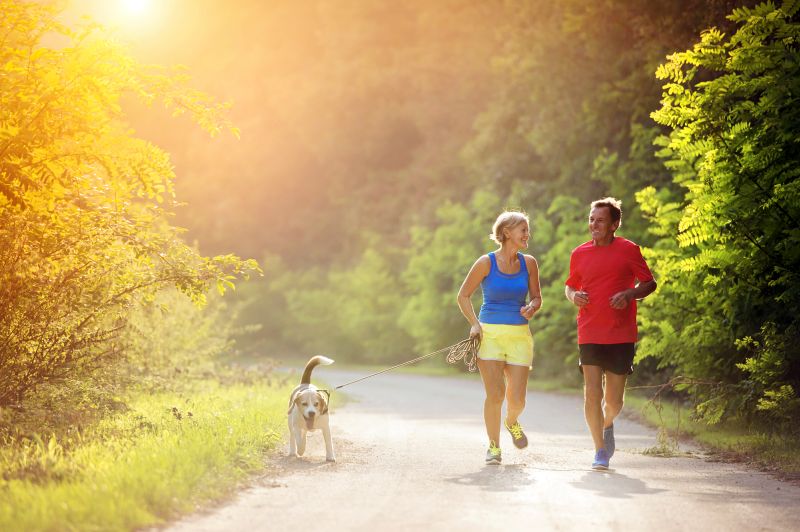 teaching dogs to run