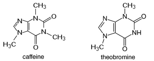 theobromine and caffeine