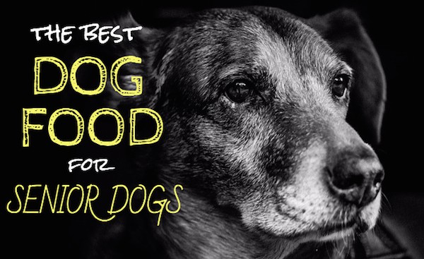 top dog food for senior dogs