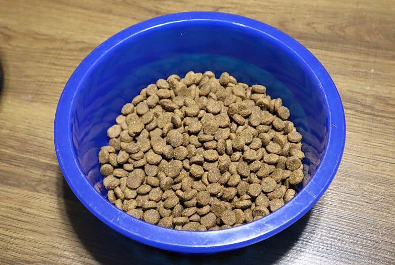 Comparing Kibbles