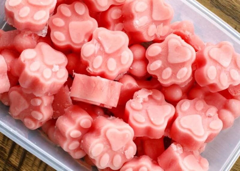 watermelon flavored dog treats