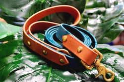 Waterproof Two Tone Dog Leash