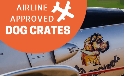 airline approved dog crates