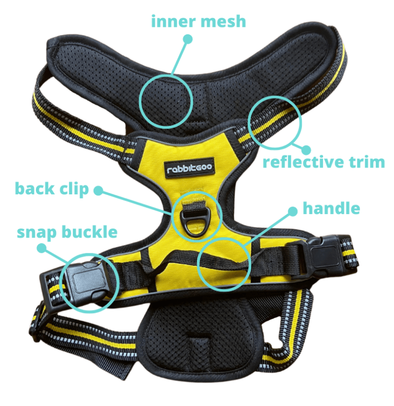 Harness Anatomy