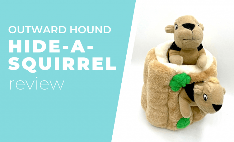 hide-a-squirrel-review