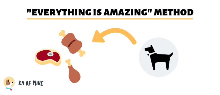 puppy-socialization-everything-amazing