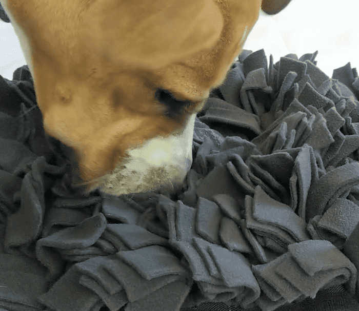 snuffle mat