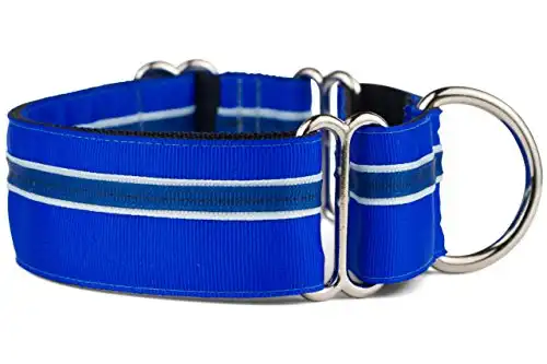 If It Barks Martingale Collar for Dogs