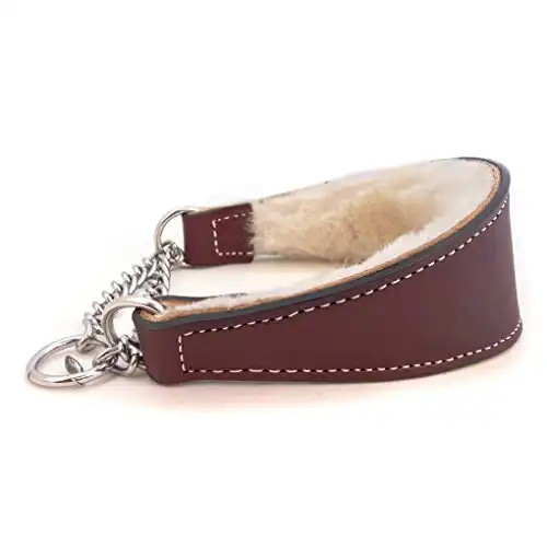 Auburn Leathercrafters Martingale Collar