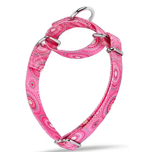 Dazzber Martingale Collar