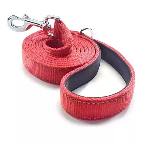 Dutchy Brand Dog Leash