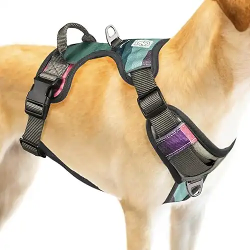 Embark Urban Dog Harness No-Pull Dog Harness