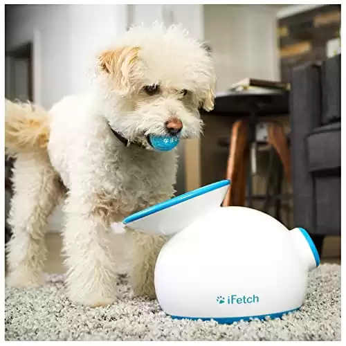 iFetch Interactive Ball Launcher