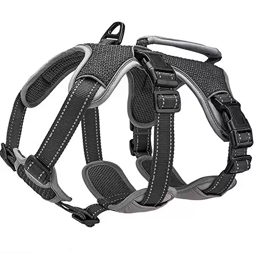 Belpro Support Harness