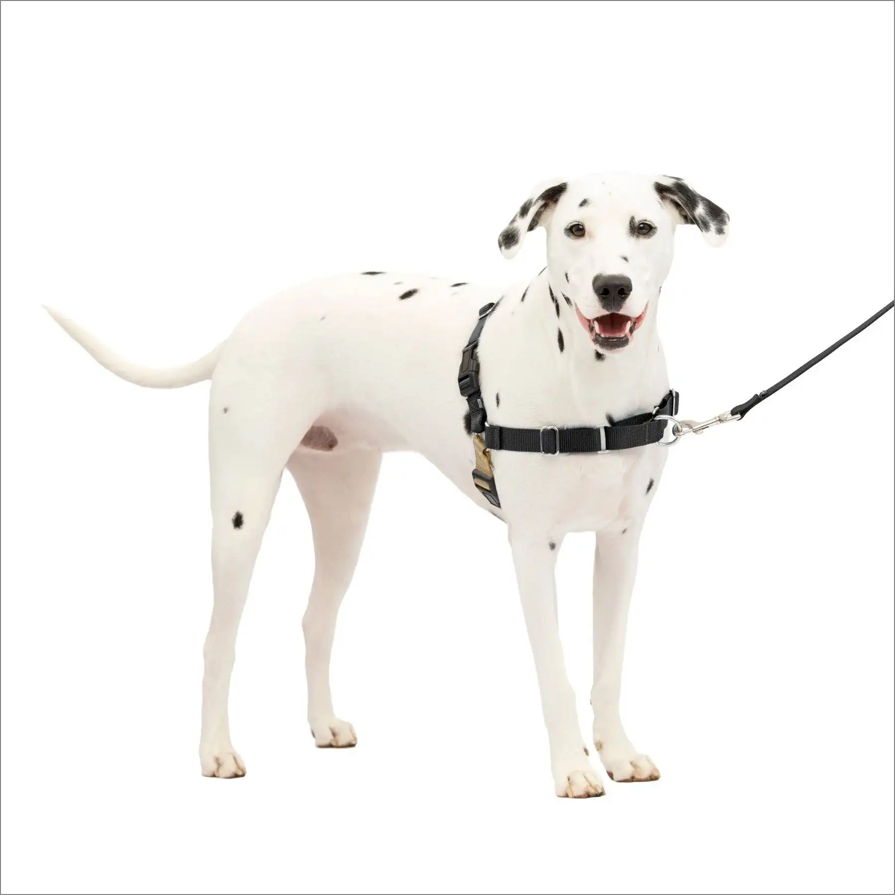 PetSafe Easy Walk Dog Harness