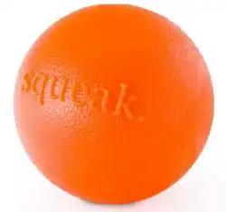 Planet Dog Orbee-Tuff Squeak Ball