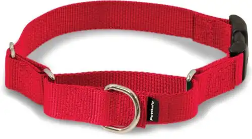 PetSafe Martingale Dog Collar